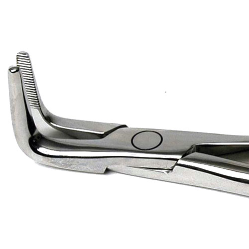 LONG_NOSE_FRAGMENT_FORCEPS_CLOSE_UP