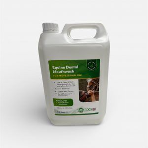 Peppermint Mouthwash