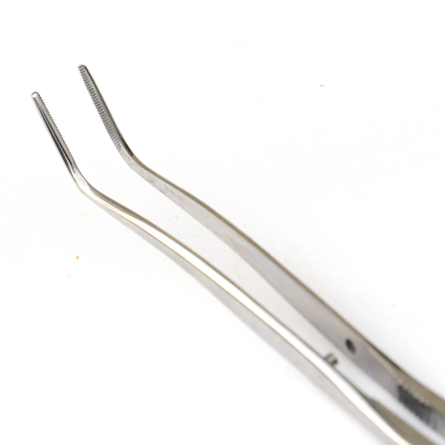 Periodontal Forceps 30cm Equine Blades Direct