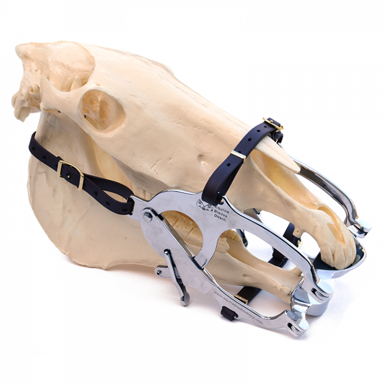 Super Deluxe Speculum Equine Blades Direct