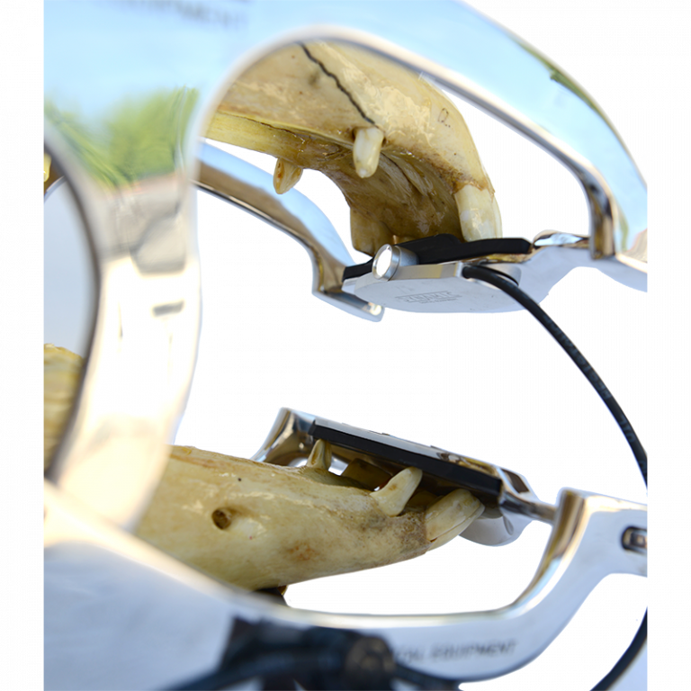 Lighting Kits Archives Equine Blades Direct