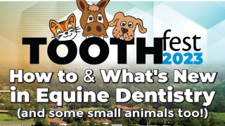 Tooth Fest 2023 logo