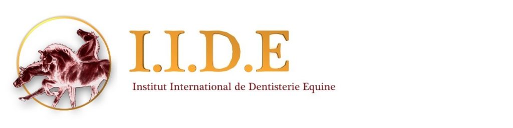 IIDE logo