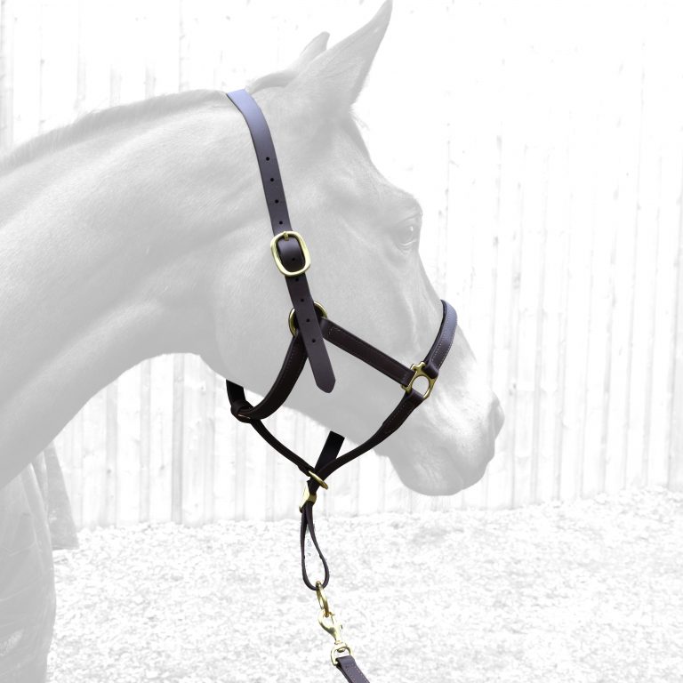 New Products Archives Equine Blades Direct