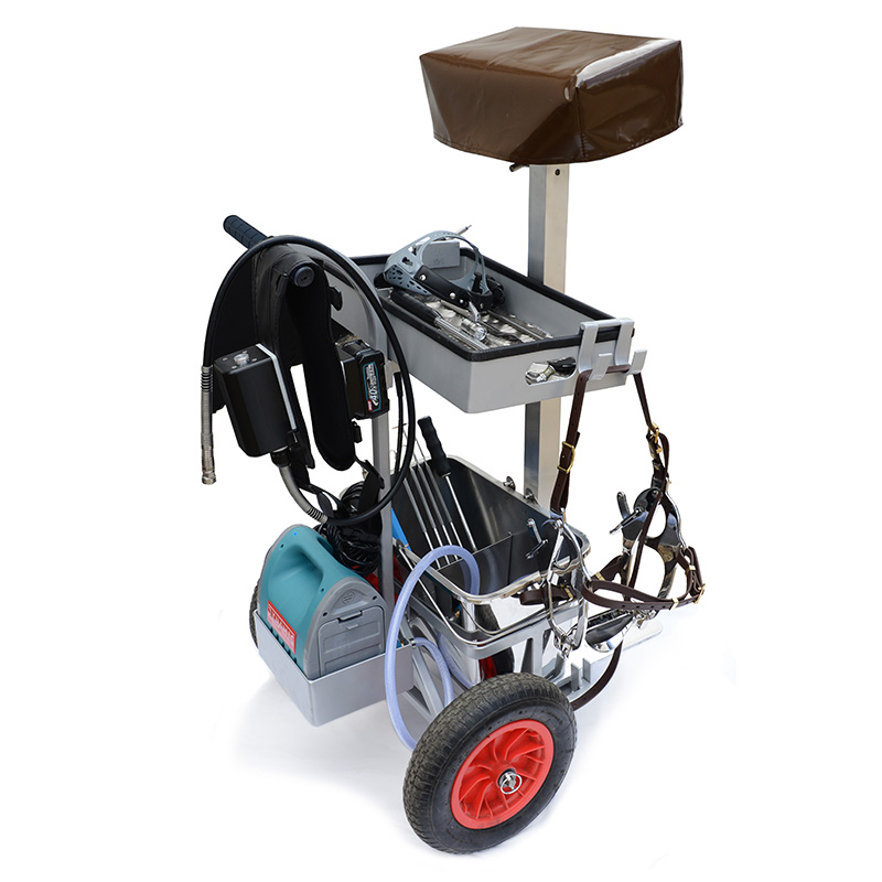 Dynamic Professional Dental Workstation