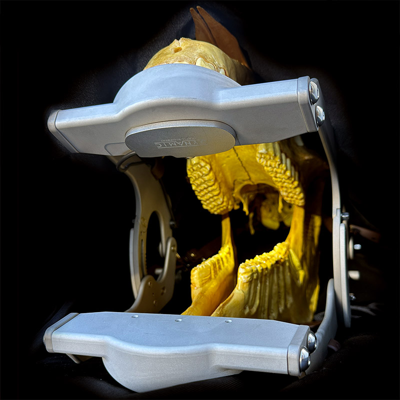 Maximus Speculum - Image 8