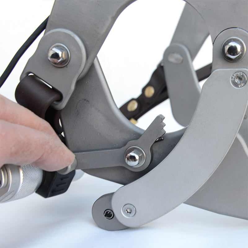 Maximus Speculum - Image 5