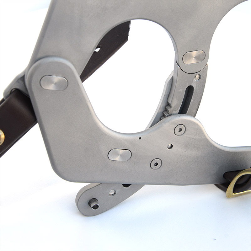 Maximus Speculum - Image 4