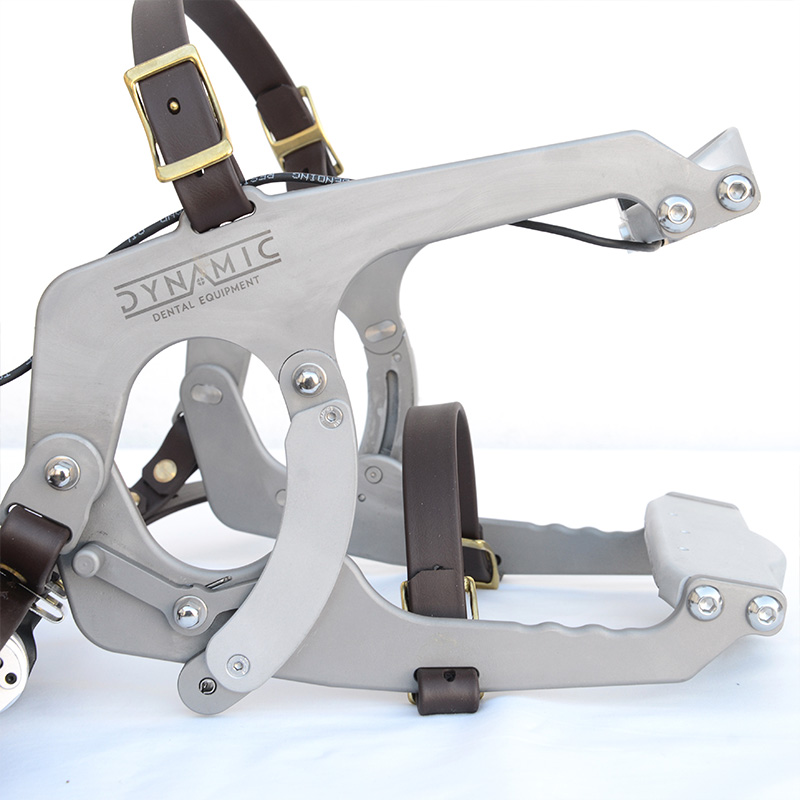 Maximus Speculum - Image 3